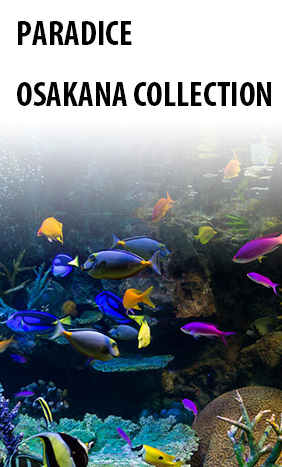 オサカナコレクション